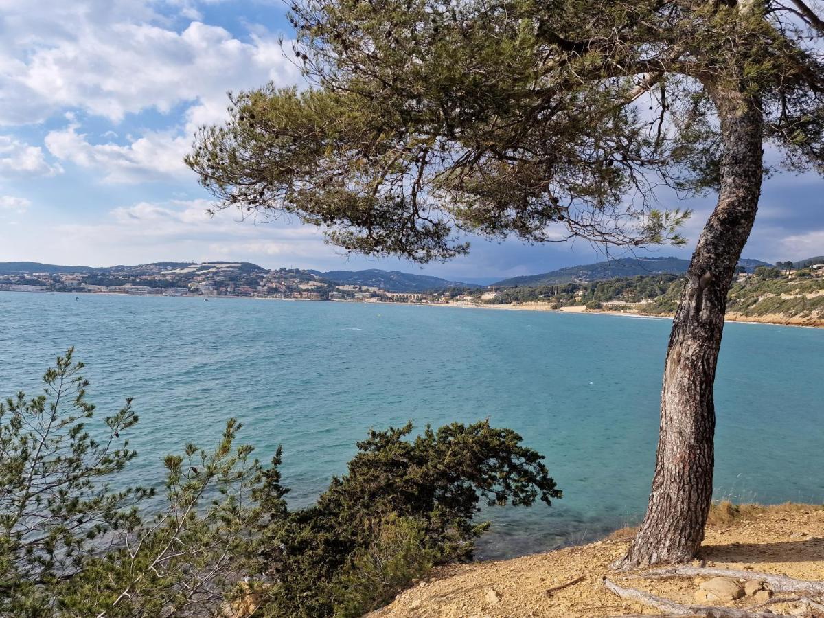 Sanaritz Apartment Sanary-sur-Mer Bagian luar foto